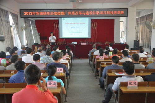 新城鎮(zhèn)農(nóng)技推廣體系改革與建設(shè)補(bǔ)助項(xiàng)目科技培訓(xùn)班 賦能現(xiàn)代農(nóng)業(yè)，服務(wù)鄉(xiāng)村振興