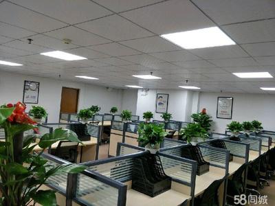 茂名市天弘商務(wù)信息咨詢(xún) 專(zhuān)業(yè)助力企業(yè)決策與發(fā)展的戰(zhàn)略伙伴