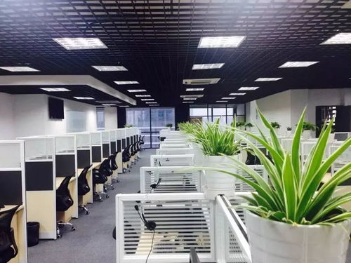 上海新積域 2018金音獎(jiǎng)最佳客服案例的卓越典范