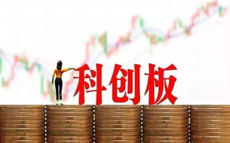 科創(chuàng)板你必須要了解的 二 中介服務(wù)